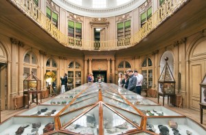 La grande salle du Musée Teyler, inchangée depuis 1784.