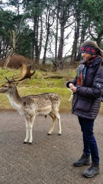 Dans les dunes près de Haarlem ("Waterleidingduinen´).