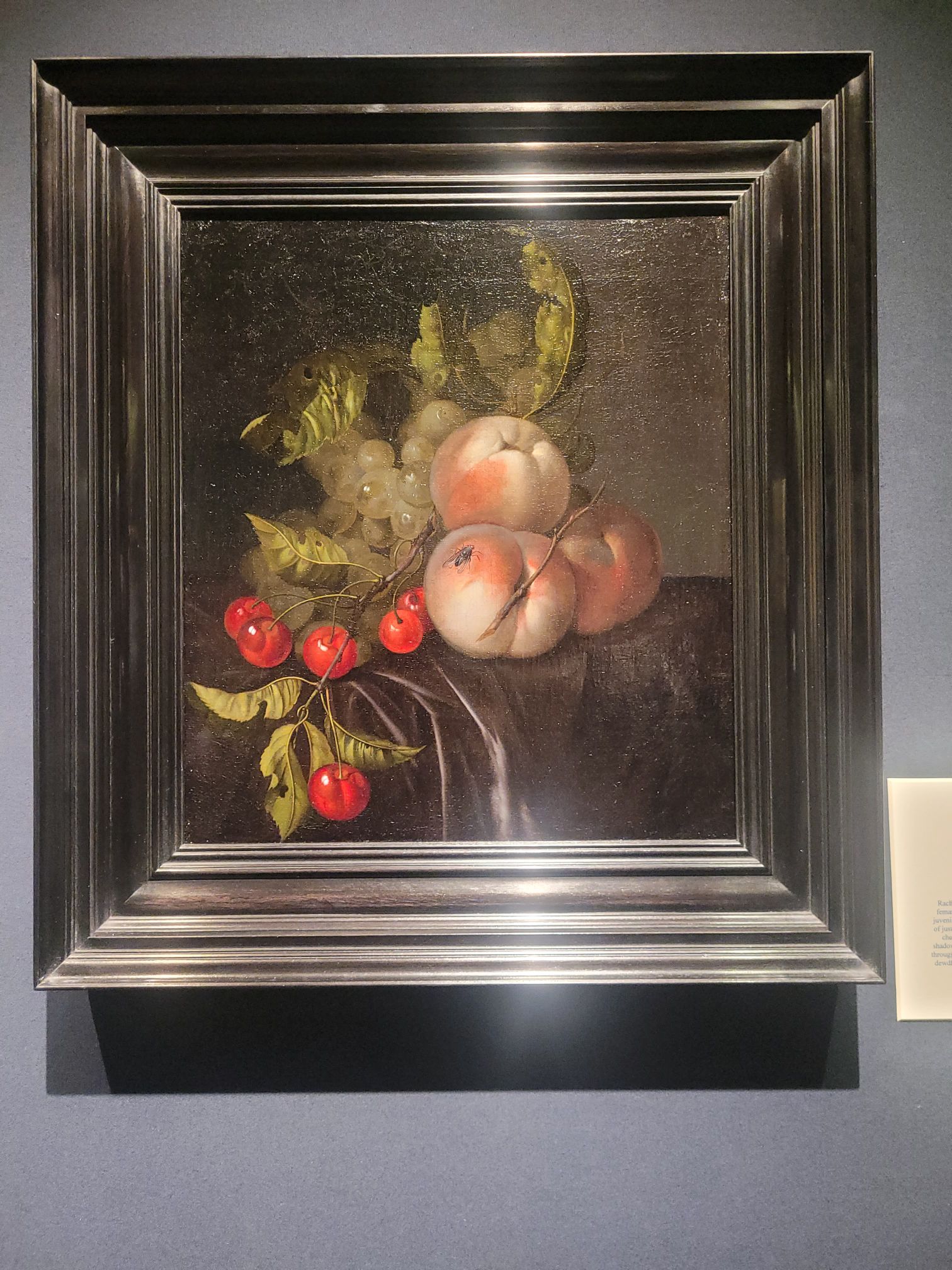 Rachel Ruysch (1664-1750), Nature morte avec fruits, 1684. Bijl-Van Urk